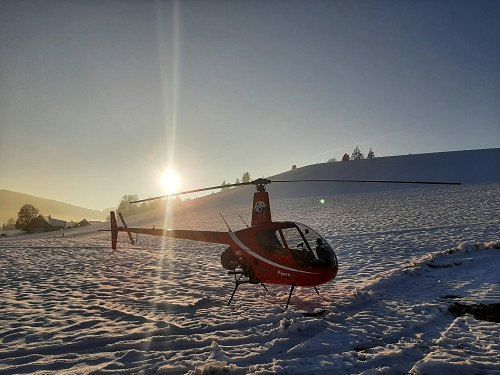 Robinson R22