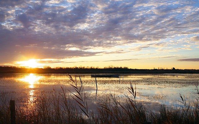 Camargue