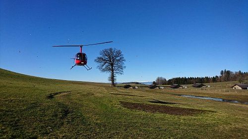 Robinson R22