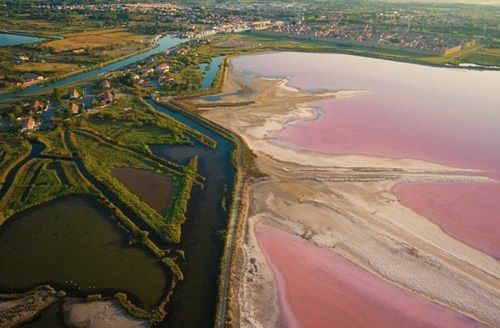 Saintes Maries de la mer, Camargue, Arles et Avignon
