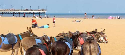 Visit Skegness by Air!