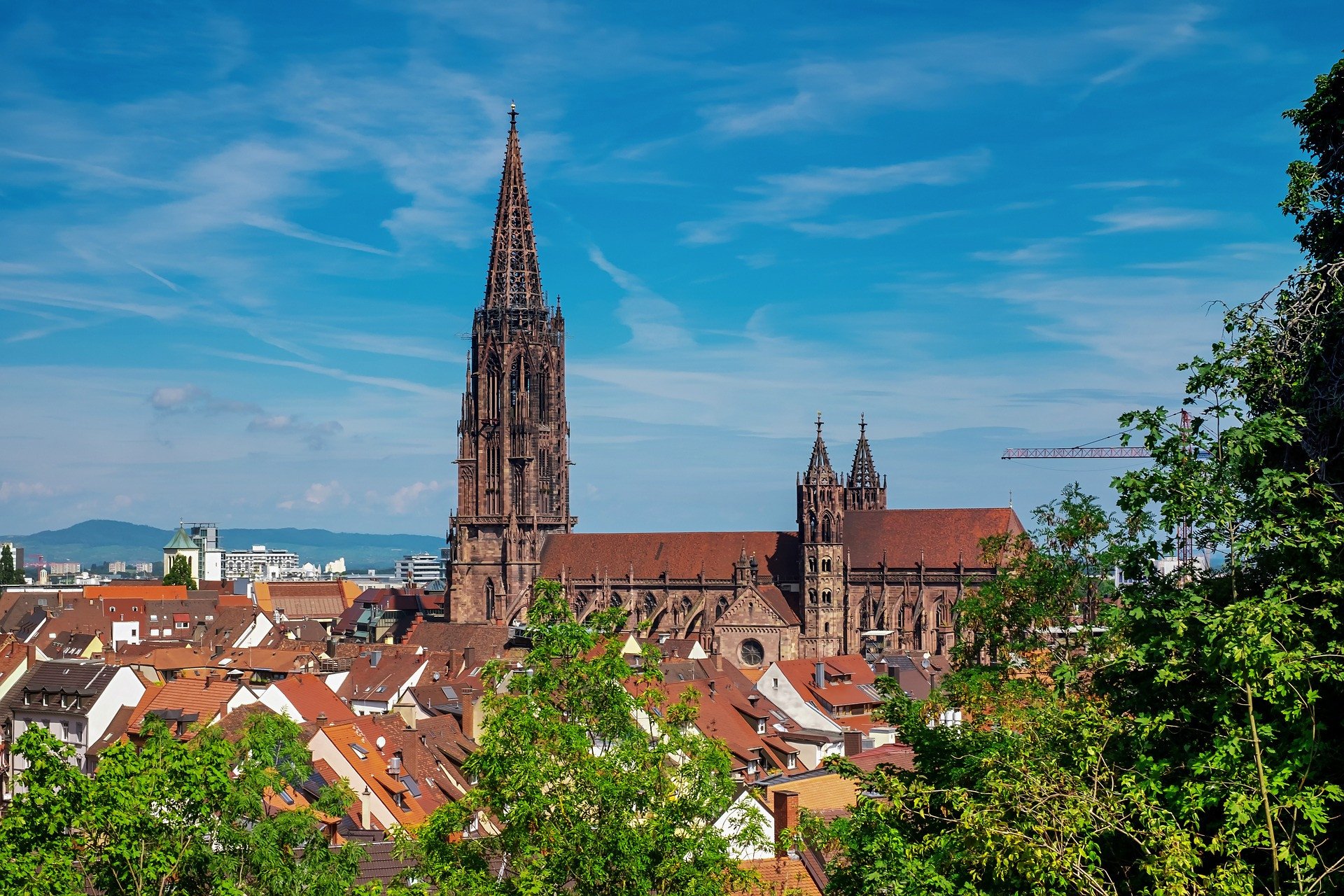 Egelsbach - Freiburg und zurück • Wingly