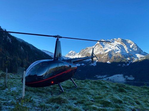 Robinson R66