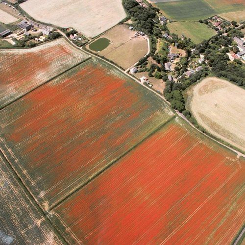Sussex/Surrey Countryside Tour