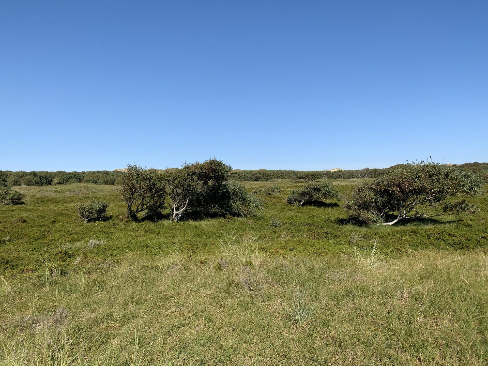 einen-tag-auf-wangerooge-wingly